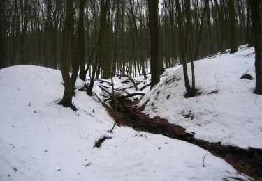 Tocht Te voet Lübbecke - A0 Lübbecke-Gehlenbeck - Photo