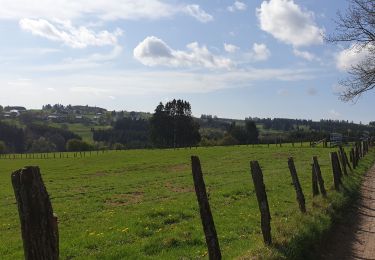 Tour Nordic Walking Vielsalm - baraque Baneux - Photo