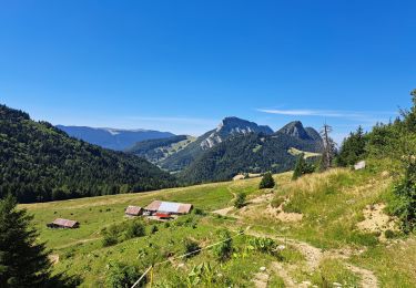 Tocht Stappen Bellecombe-en-Bauges - Tour de BancPlat, Dent des portes en partant du petit reposoir  - Photo