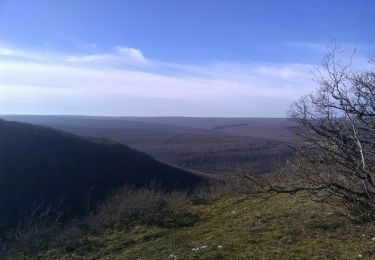 Tocht Mountainbike Messigny-et-Vantoux - fontaine de jouvence  saussy  vernot - Photo