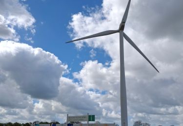 Tour Wandern Villeneuve-en-Retz - Bourgneuf en retz _ Les éoliennes - Photo