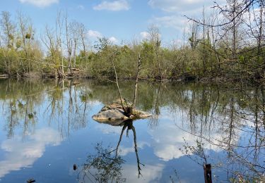 Tour Wandern Seine-Port - Seine port 2 - Photo