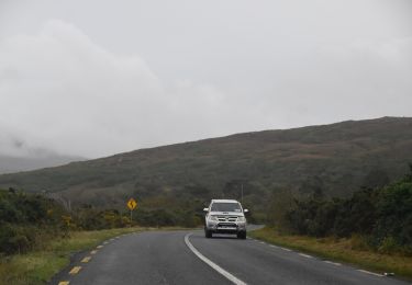 Tocht Te voet Westport-Belmullet Municipal District - The Saula Loop - Photo