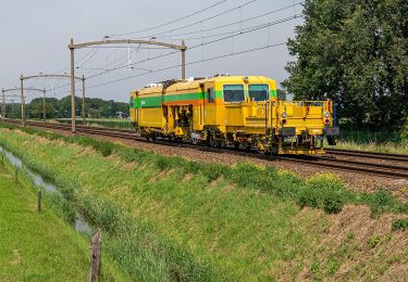 Percorso A piedi Gilze en Rijen - Ommetje Blok en Broek - Photo