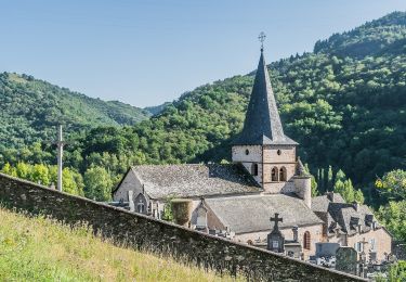 Tocht Te voet Conques-en-Rouergue - Tieulet - Photo