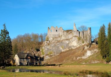 Tour Zu Fuß Anhée - Montaigle - Photo