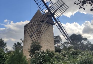 Trail Walking Fontvieille - Fontvieille - Est et Moulins - Photo