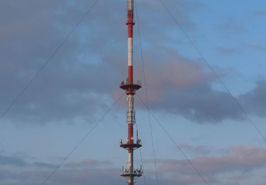 Randonnée A pied Langenburg - P Tränkbuck Rundwanderweg 2 - Photo