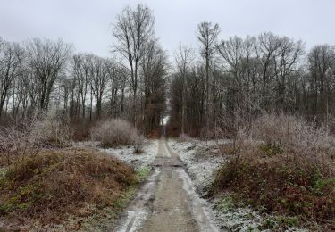 Percorso Marcia Clavier - Pailhe - Photo
