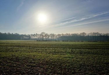 Randonnée A pied Bronckhorst - De Pinselroute - Photo