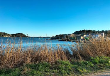 Tocht Stappen Peyriac-de-Mer - peyrac de mer - Photo