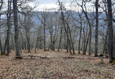 Excursión Senderismo Mayrègne - Cap de Serrède en boucle depuis Mayrègne  - Photo