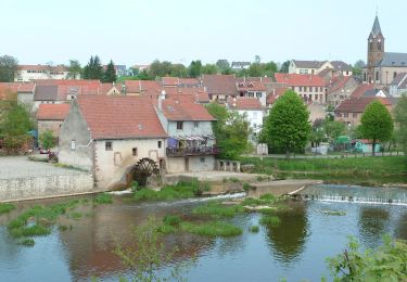 Tocht Te voet Zetting - Circuit des Bornes - Photo