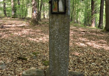 Trail Walking Profondeville - RB-Na-20-Raccourci-2_Paysages_entre_Meuse_et_Burnot - Photo