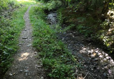 Trail Nordic walking Arbaz - Bitailla  - Photo
