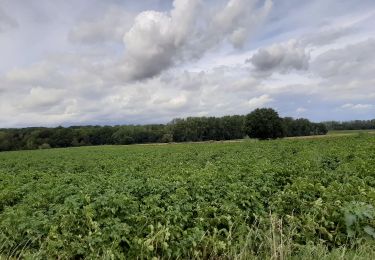 Randonnée Marche Estinnes - Rpeissant - Photo