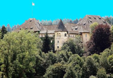 Tocht Te voet Krumpendorf am Wörthersee - Krumpendorfer Weitwanderweg - Photo