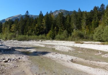 Excursión A pie Garmisch-Partenkirchen - Kramerplateauweg - Photo