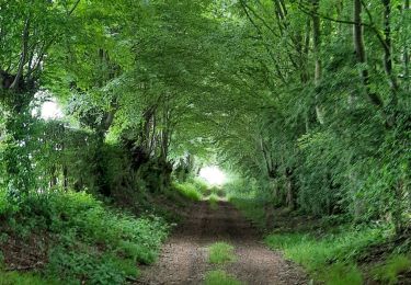 Tocht Stappen Mazinghien - Mazinghin - Photo