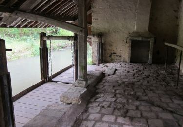 Percorso A piedi Ville-Saint-Jacques - Basse vallée de l'Orvanne - Photo