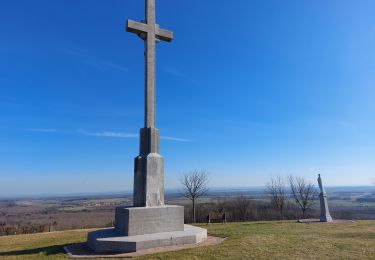 Excursión Senderismo Circourt - Circourt - Photo