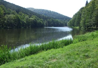 Tour Zu Fuß Lembach - Croix rouge - Photo