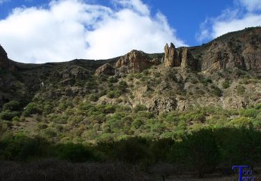 Tour Zu Fuß Santa Brígida - Camino Borde de Caldera - Photo