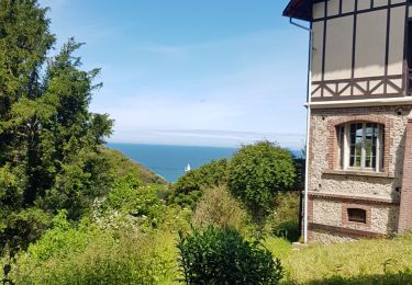 Randonnée Marche Yport - Yport - Benouvile par le chemin des falaises - Photo