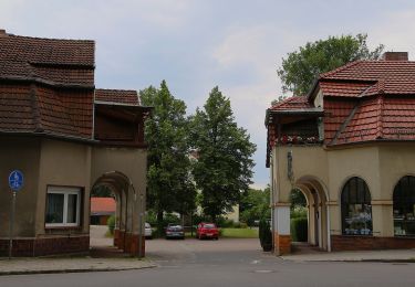 Percorso A piedi Lübben (Spreewald) - Wanderweg Lübben-Biebersdorf-Groß Leuthen - Photo