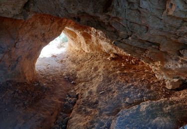 Tour Wandern Marseille -  parc Pastré vers  la fontaine de Voire, par le pas du goéland  - Photo