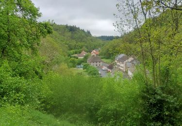 Tocht Stappen Miremont - Le Sioulet - Photo