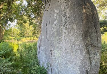 Tour Wandern Penmarc'h - Menhir de la vierge - Photo