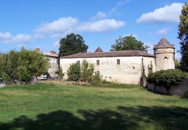 Tocht Te voet Saint-Pardon-de-Conques - Les Jauberthes - Photo