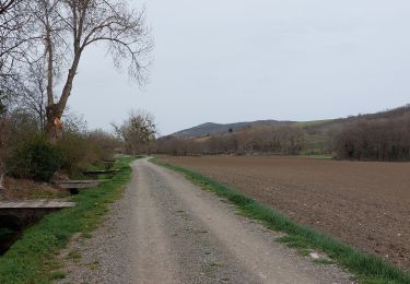 Randonnée Marche Pérignat-sur-Allier - LES HAUTS D'ALLIER - Photo