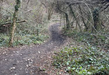 Excursión Senderismo Olne - Forêt par Navette - Photo