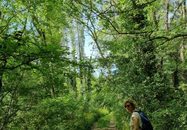 Trail Walking Les Arcs-sur-Argens - z le pont de l'Aille 19-04-22 - Photo