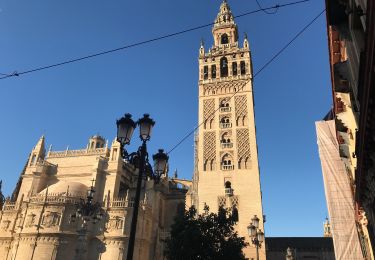 Trail Walking Seville - 20181231 Séville  - Photo