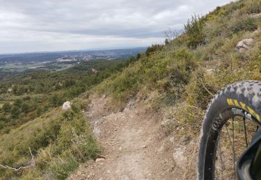 Tocht Mountainbike Vitrolles - dans le jardin  - Photo