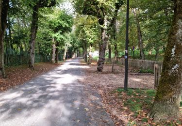 Percorso Marcia Vendôme - Vendôme et son Château - Photo