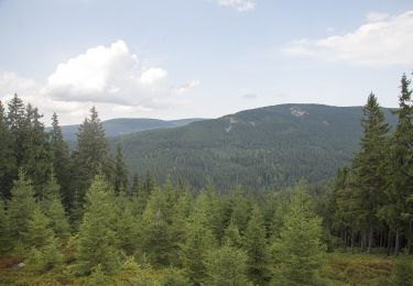 Tour Zu Fuß Rochlitz an der Iser - CZ-4286 - Photo