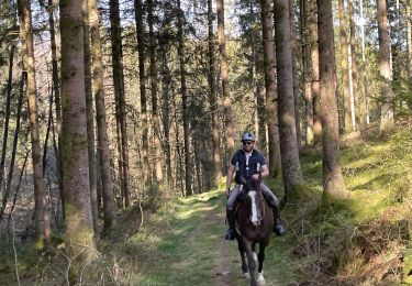 Trail Horseback riding Chiny - Chiny pi - Photo