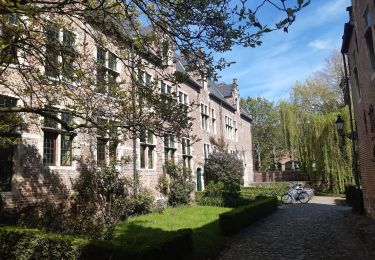 Randonnée Marche Louvain - tour'tje a Leuven - Photo