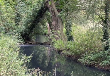 Trail Walking Geer -  natagora réserve du haut Geer Hollogne  - Photo
