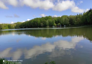 Trail Walking Heimsbrunn - Heimsbrunn Galfingue - Photo