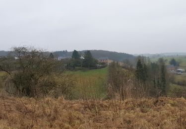 Randonnée Marche Froidchapelle - Balade à Froidchapelle - Photo