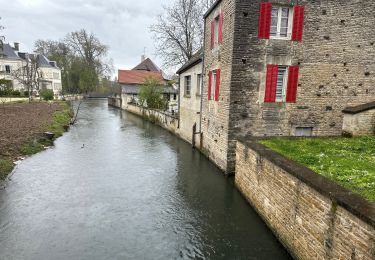 Tour Wandern Les Riceys - Ricey bois, cadoles et vignes 13 km - Photo