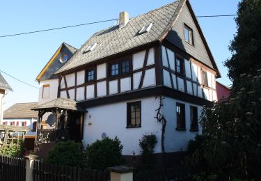 Tour Zu Fuß Rüdesheim am Rhein - Wisper-Trail: Via Monte Preso - Photo