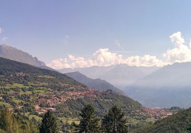 Tocht Te voet Borno - Sentiero dei ruscelli canterini - Photo