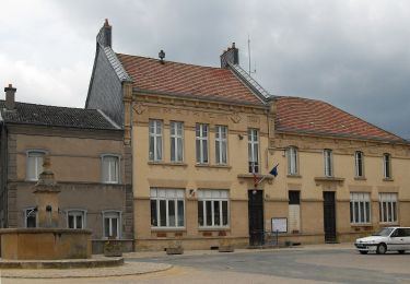 Tocht Te voet Marville - Boucle de promenade à Marville 1, France - Photo