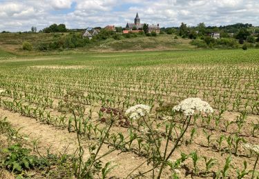 Randonnée Marche Mauquenchy - Mauquenchy - Photo